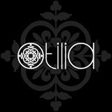 /album/proveedores-/otilia-jpg/